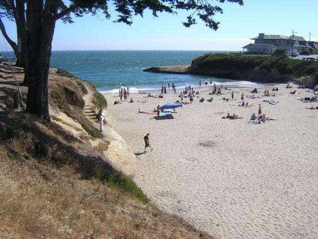 Sunny Cove Motel Capitola Ngoại thất bức ảnh